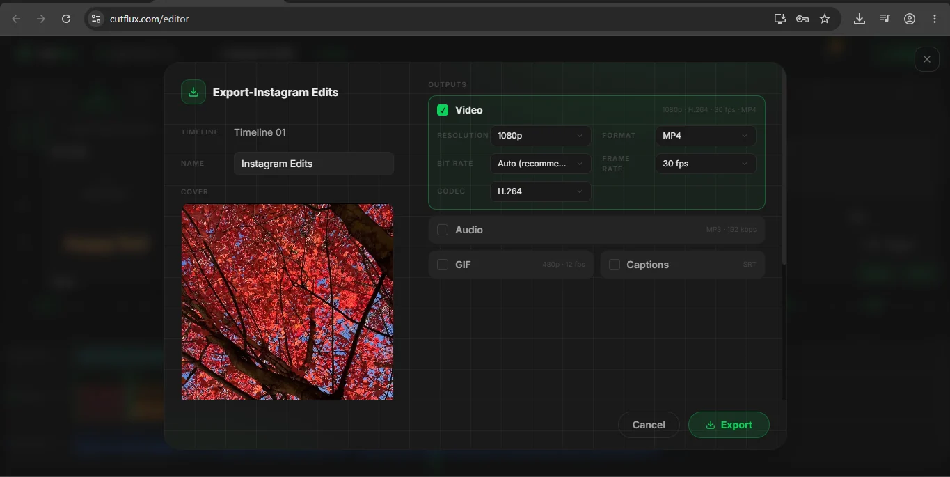 The CutFlux export panel set to 1080p, H.264, and automatic bitrate for a 9:16 Reel.